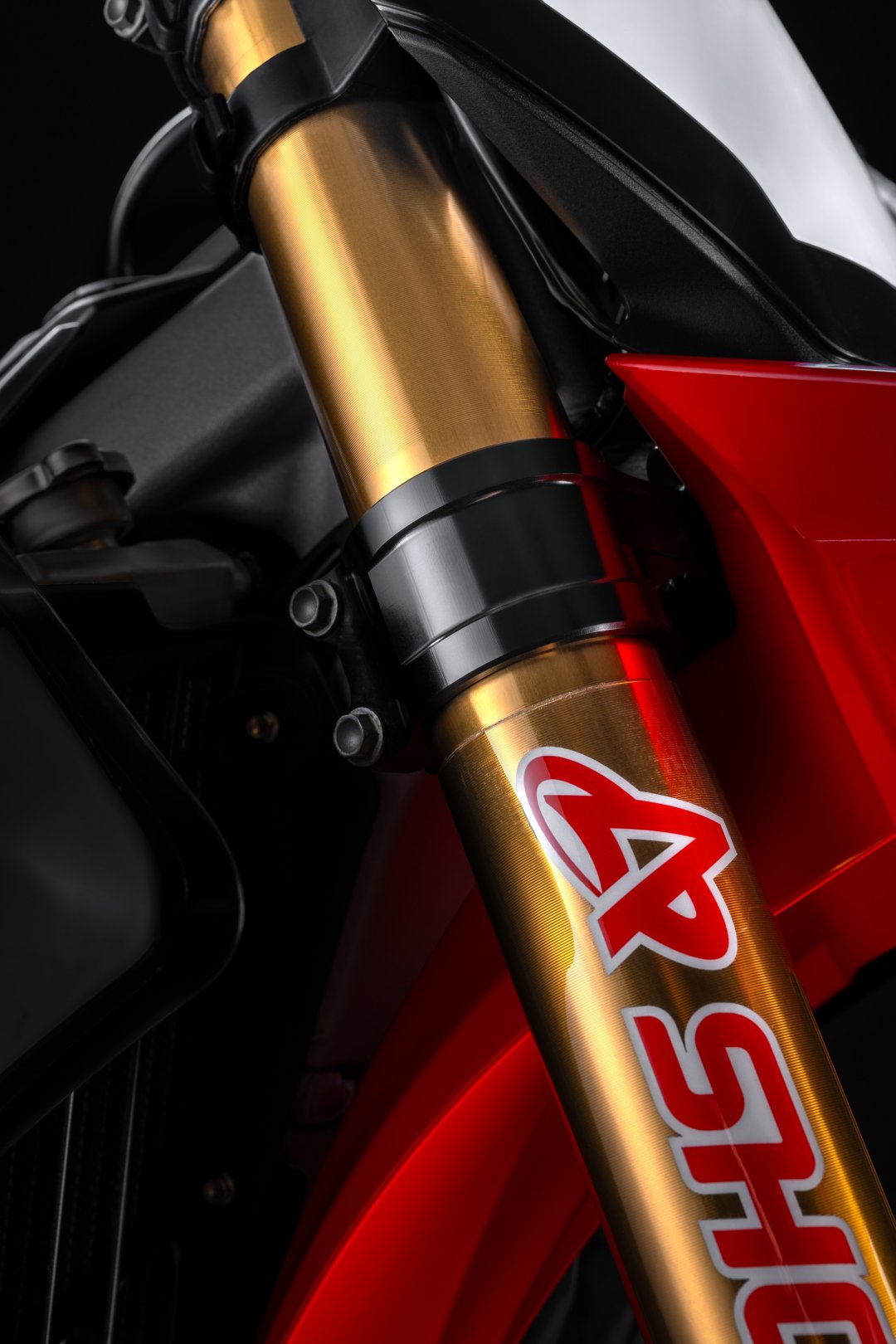 Precision Showa fork and Ducati Factory bodywork